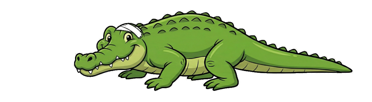 Alligator